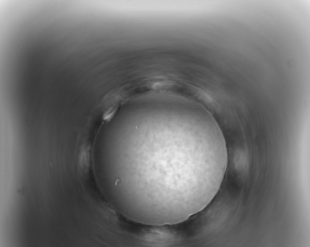 X0000089460475200706221308