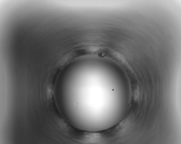 X0000089460476200706221308