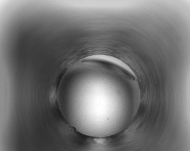 X0000089460478200706221308