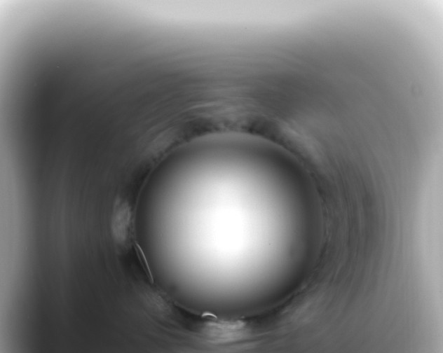 X0000089460480200706221308