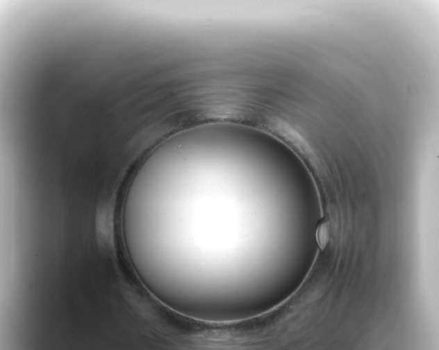 X0000089460482200706221308