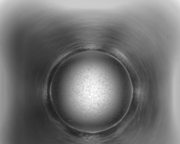 X0000089460484200706221308