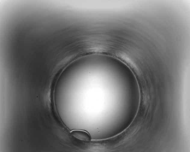 X0000089460486200706221308