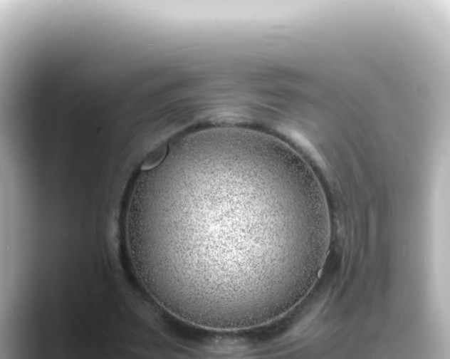X0000089460487200706221308