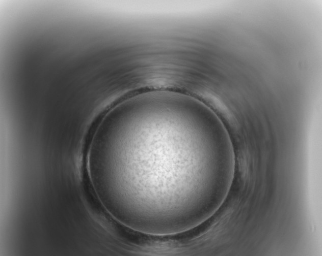 X0000089460488200706221308