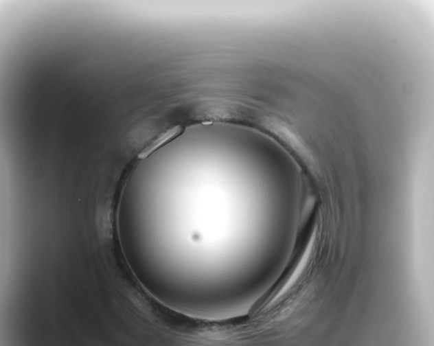 X0000089460489200706221308