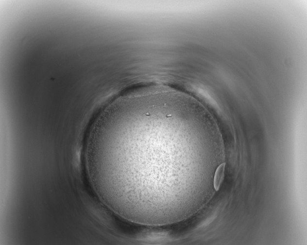 X0000089460491200706221308