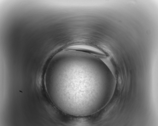X0000089460492200706221308