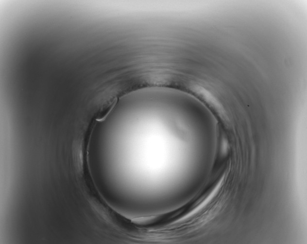 X0000089460493200706221308