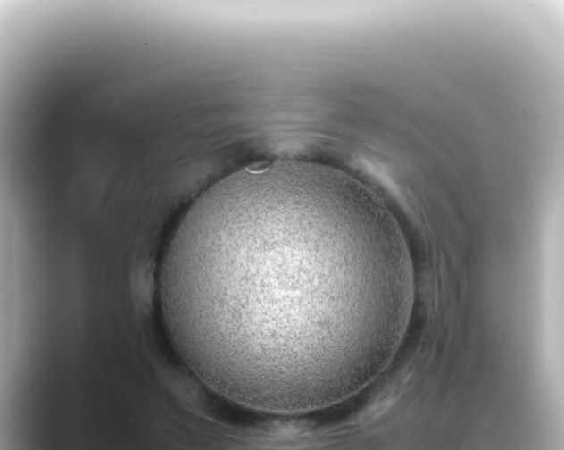 X0000089460495200706221308