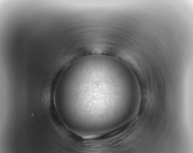 X0000089460496200706221308
