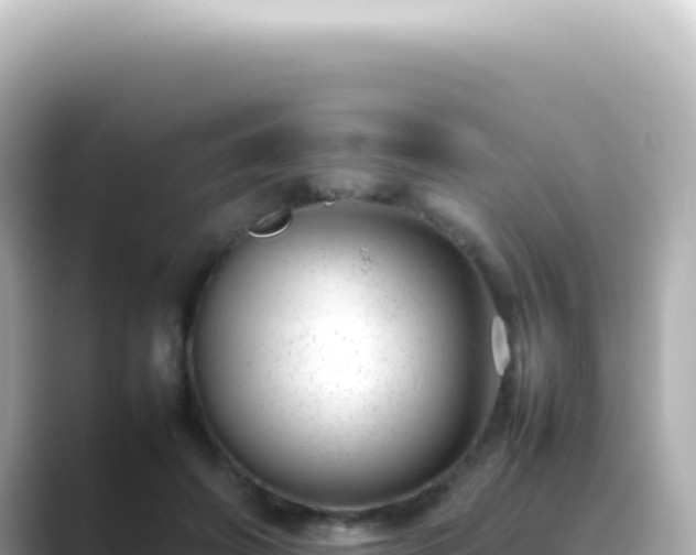 X0000089460498200706221308