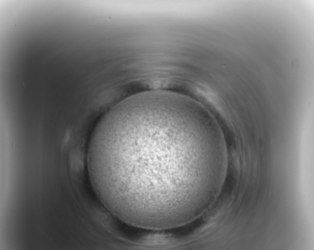 X0000089460499200706221308