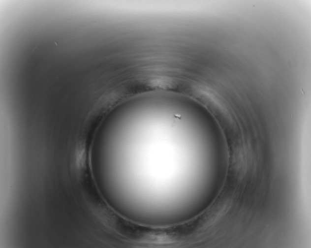 X0000089460502200706221307