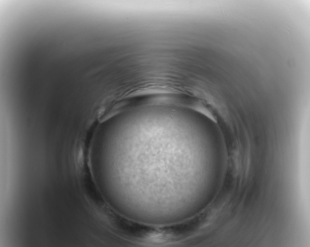 X0000089460504200706221307