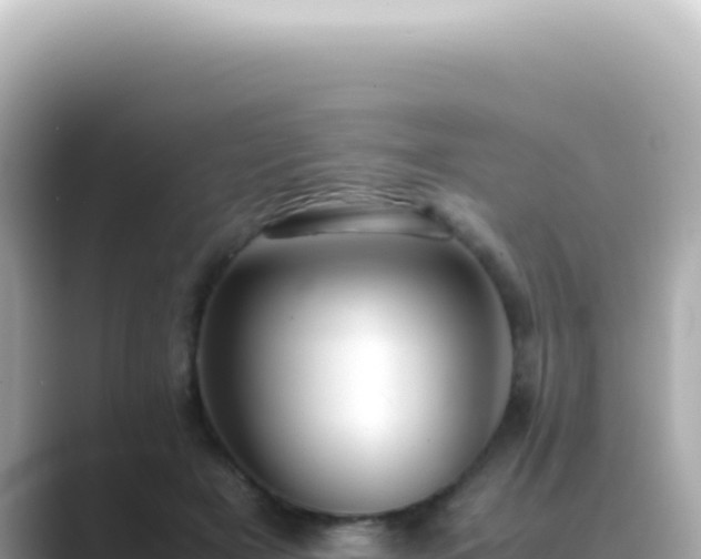 X0000089460505200706221307