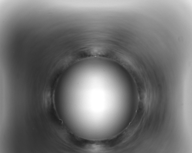 X0000089460506200706221307