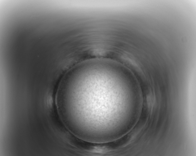 X0000089460508200706221307