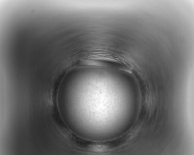 X0000089460512200706221307
