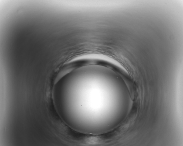 X0000089460513200706221307