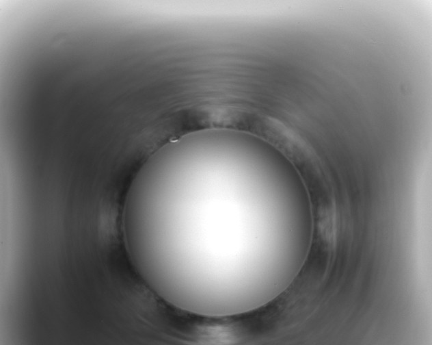 X0000089460514200706221307