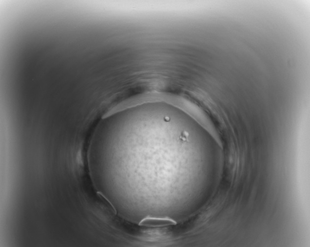 X0000089460516200706221307