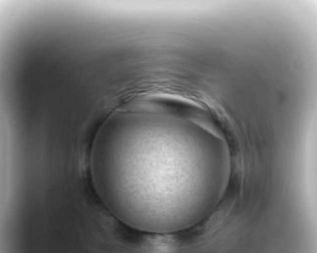 X0000089460517200706221307