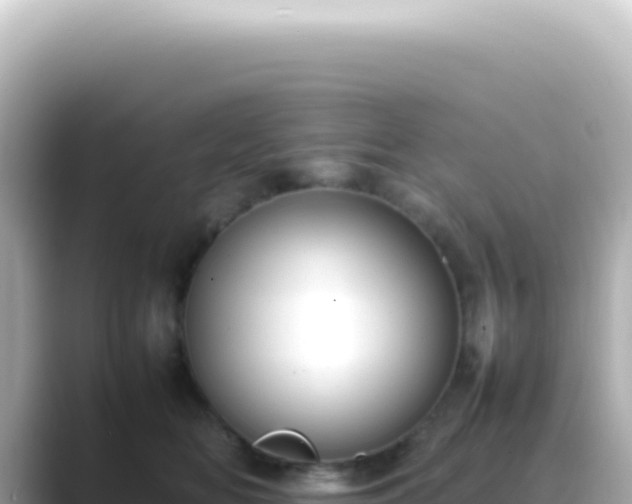 X0000089460518200706221307