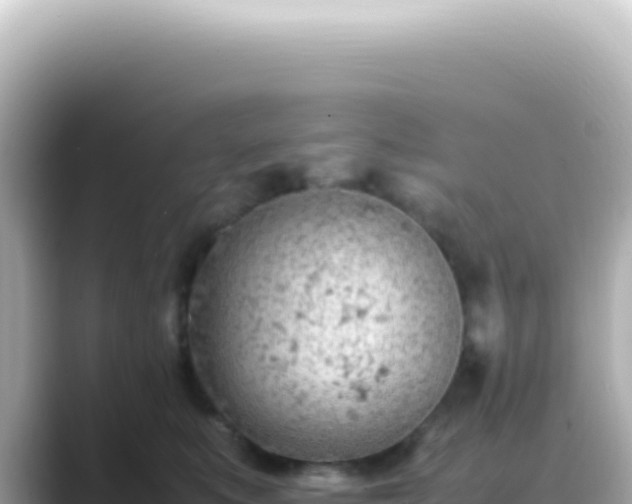 X0000089460519200706221307