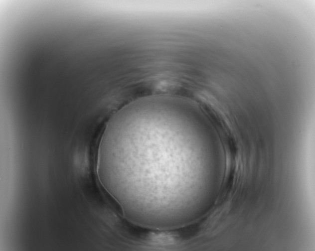 X0000089460520200706221307