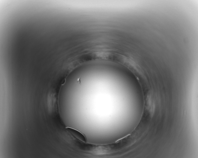 X0000089460522200706221307