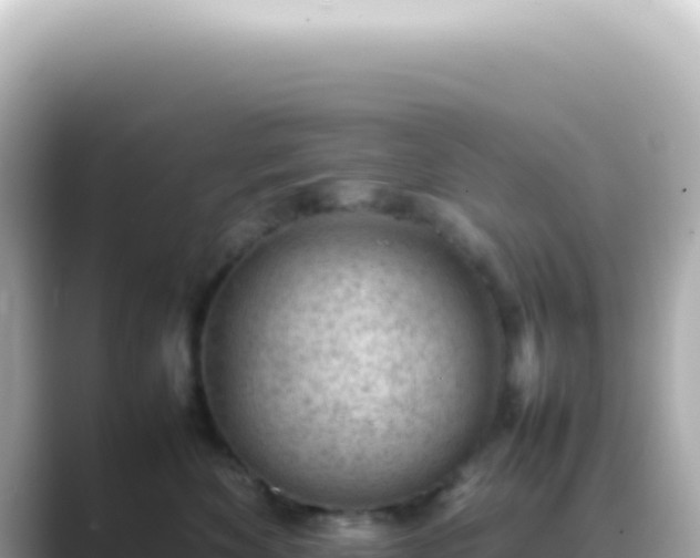 X0000089460524200706221307