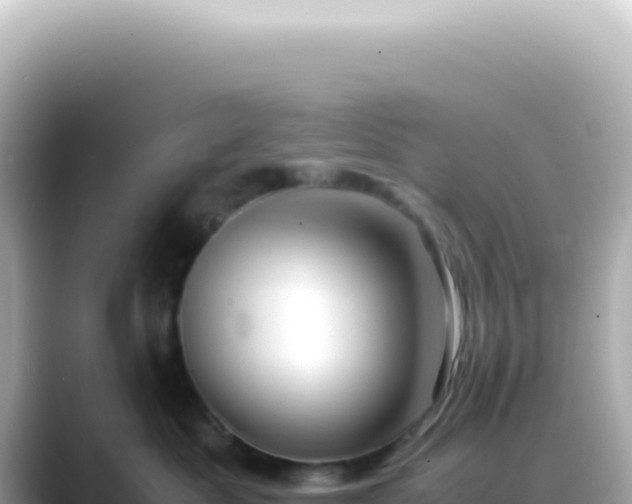 X0000089460525200706221307