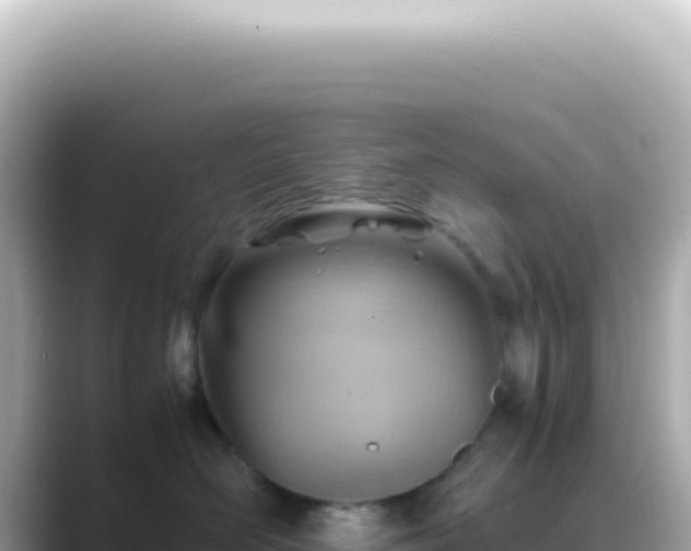 X0000089460526200706221307