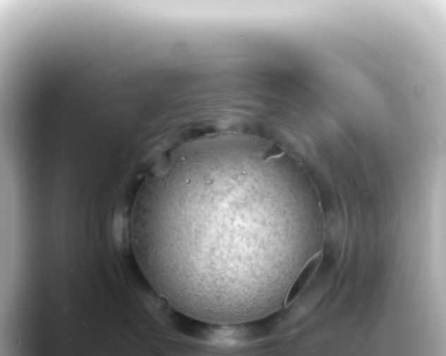 X0000089460527200706221307