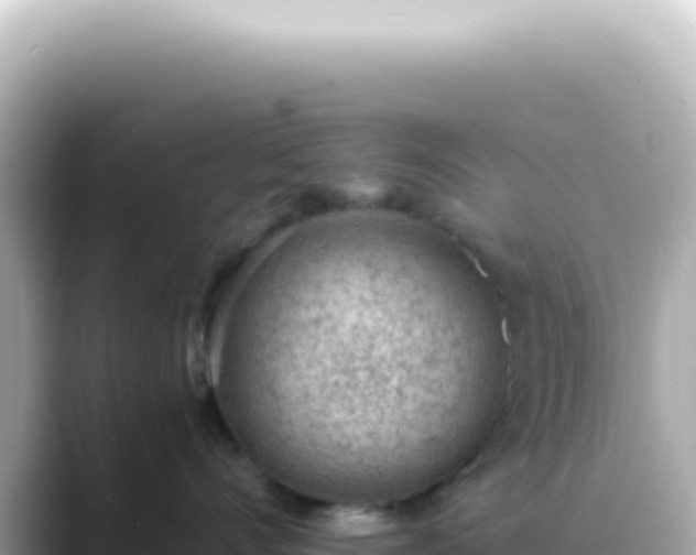 X0000089460528200706221307