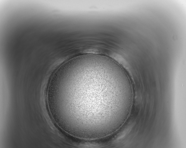 X0000089460529200706221307