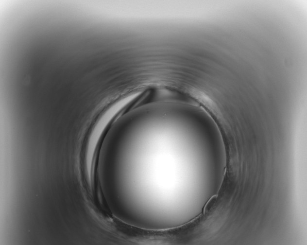 X0000089460530200706221307
