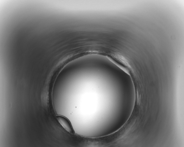 X0000089460531200706221307