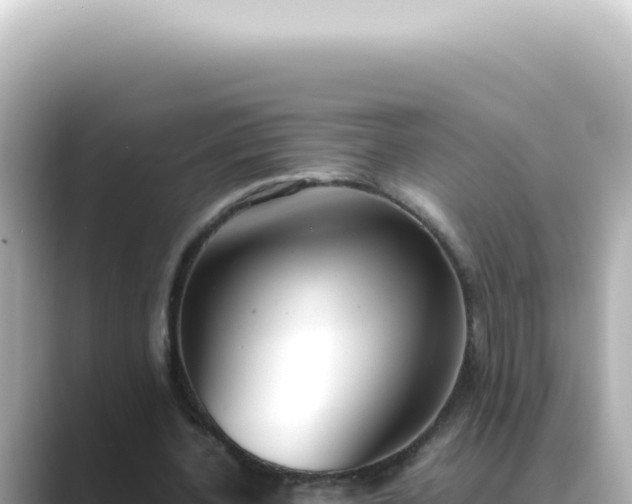 X0000089460532200706221307