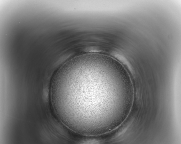 X0000089460533200706221307