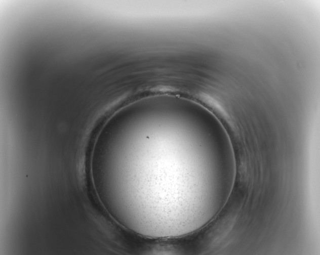 X0000089460535200706221307