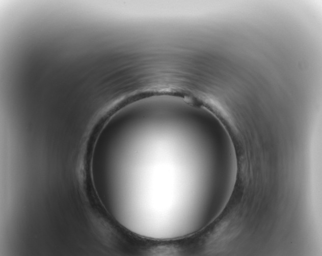 X0000089460536200706221307