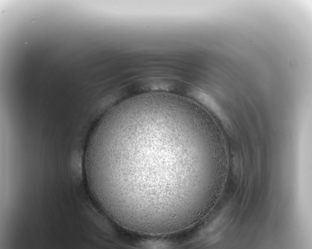 X0000089460537200706221307