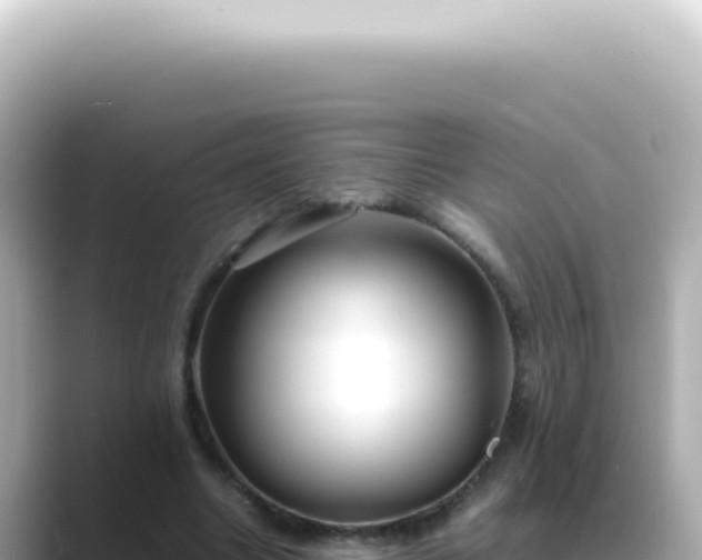 X0000089460538200706221307