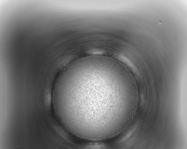X0000089460541200706221307