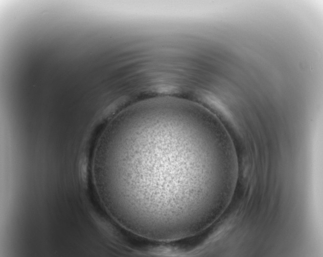 X0000089460542200706221307