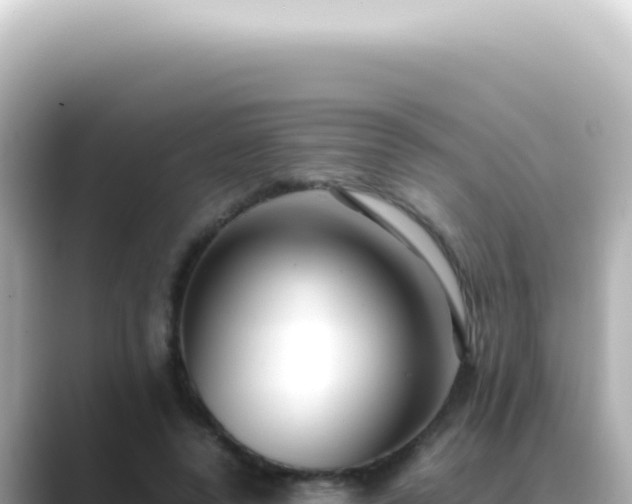 X0000089460544200706221307