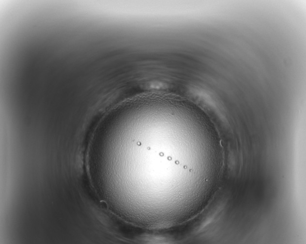 X0000089460545200706221307