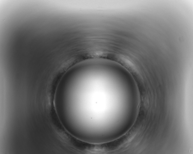 X0000089460546200706221307